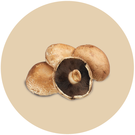 g2-mushroom