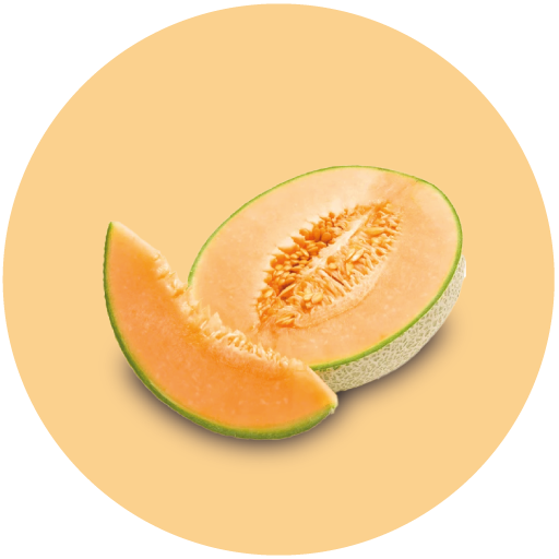 melon-g2